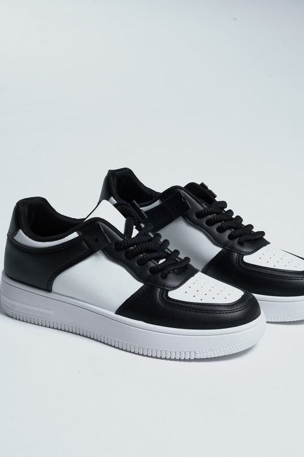 Champion Weide ZW02 - Imagen 7