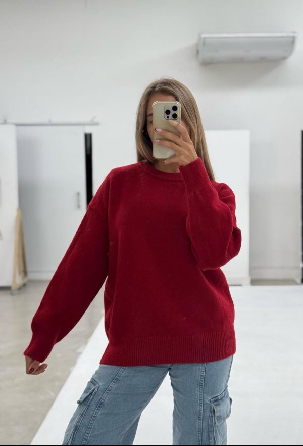 Buzo básico liso 2