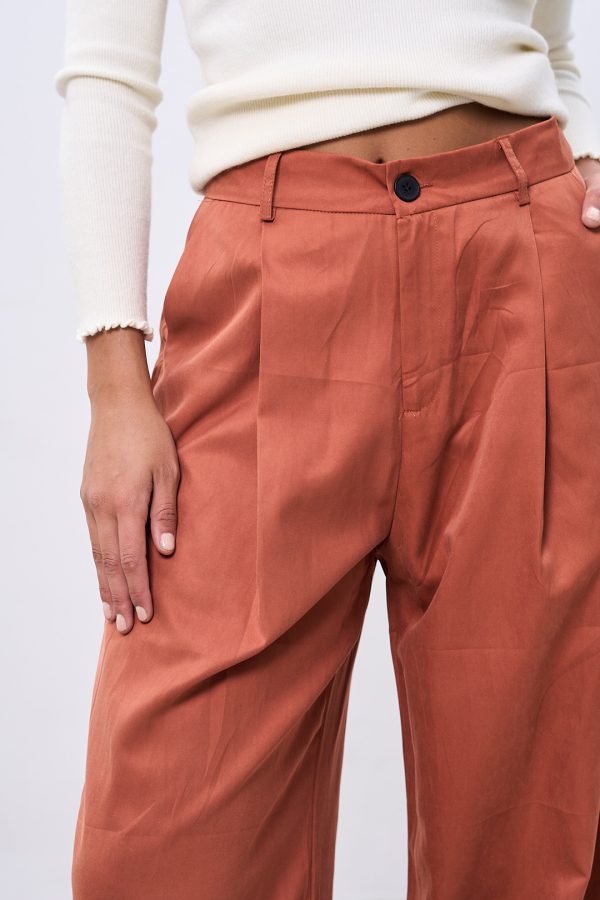 Pantalon Sastrero - Imagen 9